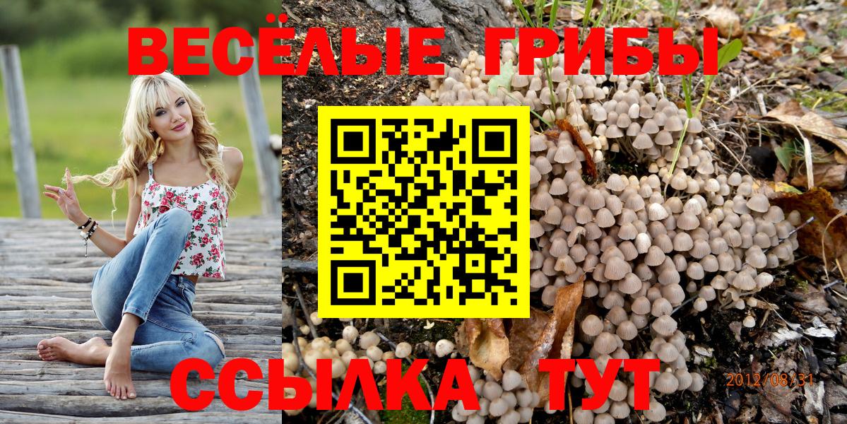 Галлюциногенные грибы мицелий Лангепас