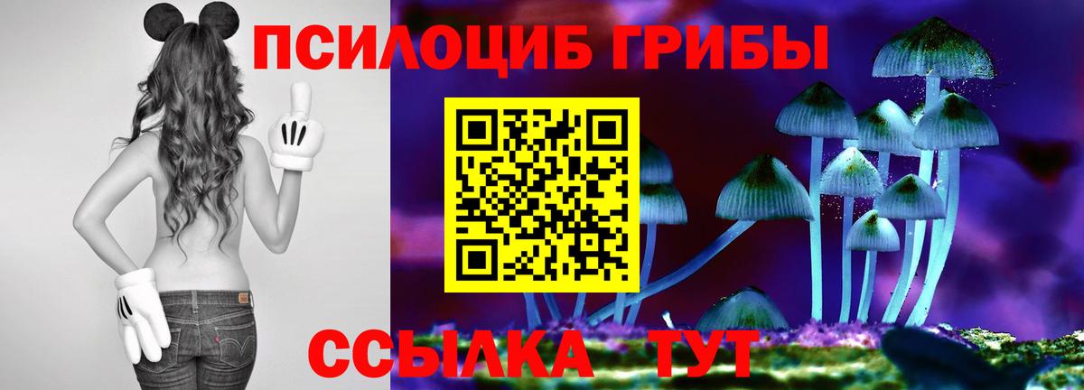 Лангепас  Галлюциногенные грибы ЛСД  Вход с VPN 